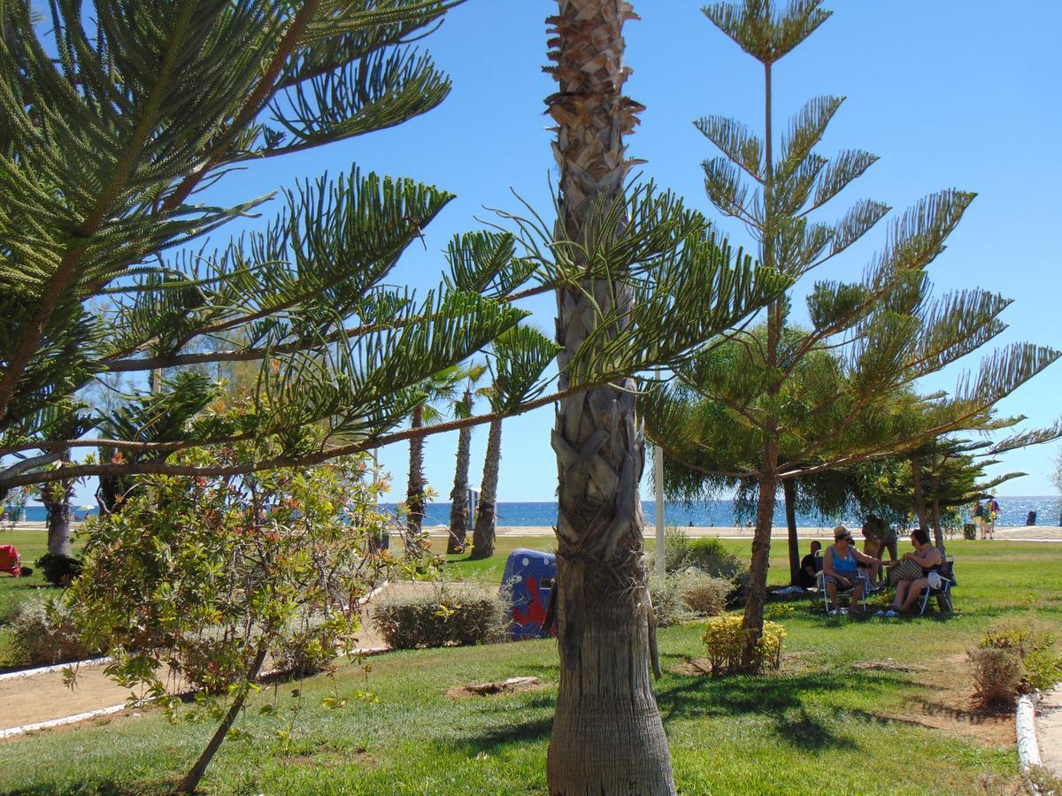 Apartamentos Varios Con 2 Dorm En Marina Dor , La Playa De Amplaries 47 , Vista Lateral Al Mar Oropesa del Mar Eksteriør bilde
